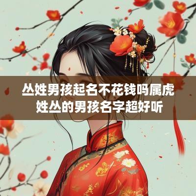 丛姓男孩起名不花钱吗属虎 姓丛的男孩名字超好听