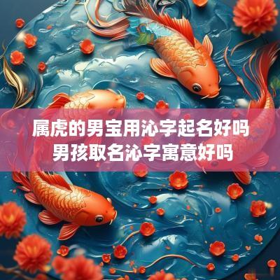 属虎的男宝用沁字起名好吗 男孩取名沁字寓意好吗