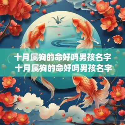 十月属狗的命好吗男孩名字 十月属狗的命好吗男孩名字大全