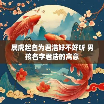 属虎起名为君浩好不好听 男孩名字君浩的寓意