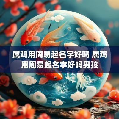 属鸡用周易起名字好吗 属鸡用周易起名字好吗男孩
