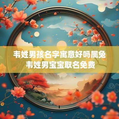 韦姓男孩名字寓意好吗属兔 韦姓男宝宝取名免费