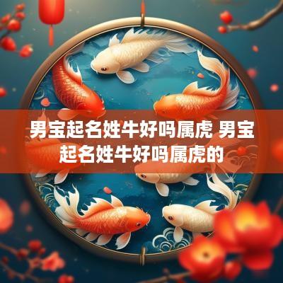 男宝起名姓牛好吗属虎 男宝起名姓牛好吗属虎的