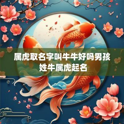 属虎取名字叫牛牛好吗男孩 姓牛属虎起名
