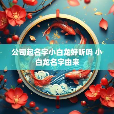 公司起名字小白龙好听吗 小白龙名字由来