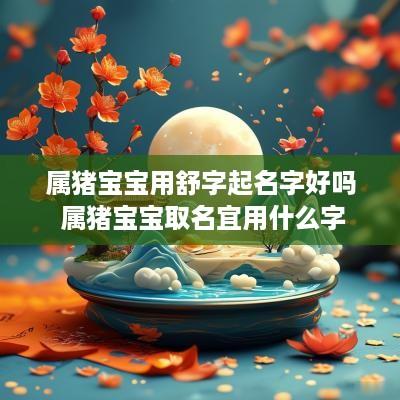 属猪宝宝用舒字起名字好吗 属猪宝宝取名宜用什么字