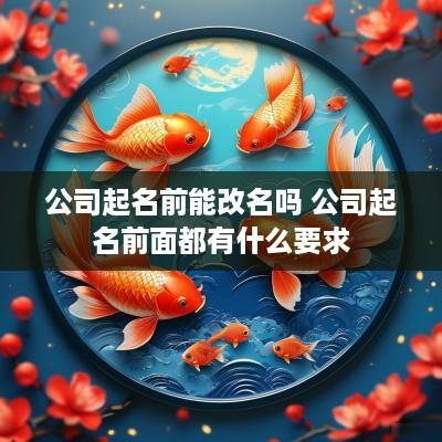 公司起名前能改名吗 公司起名前面都有什么要求