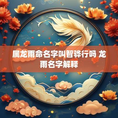 属龙雨命名字叫智骅行吗 龙雨名字解释