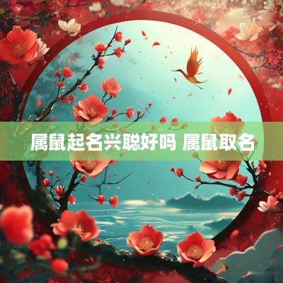 属鼠起名兴聪好吗 属鼠取名