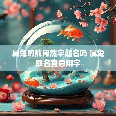 属兔的能用然字起名吗 属兔取名宜忌用字