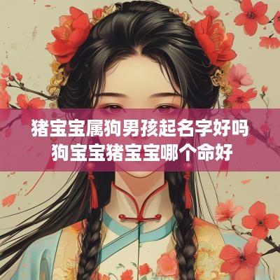 猪宝宝属狗男孩起名字好吗 狗宝宝猪宝宝哪个命好