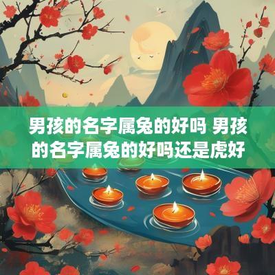 男孩的名字属兔的好吗 男孩的名字属兔的好吗还是虎好