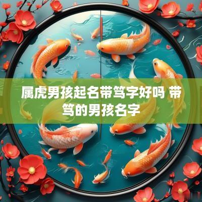 属虎男孩起名带笃字好吗 带笃的男孩名字