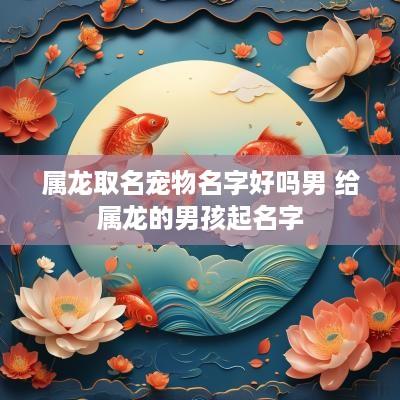 属龙取名宠物名字好吗男 给属龙的男孩起名字
