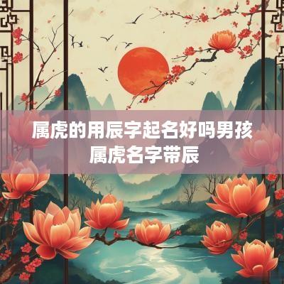 属虎的用辰字起名好吗男孩 属虎名字带辰