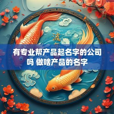 有专业帮产品起名字的公司吗 做啥产品的名字