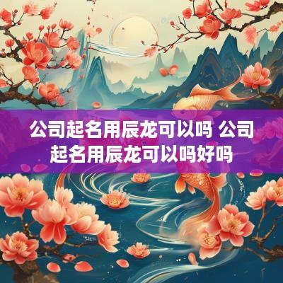 公司起名用辰龙可以吗 公司起名用辰龙可以吗好吗
