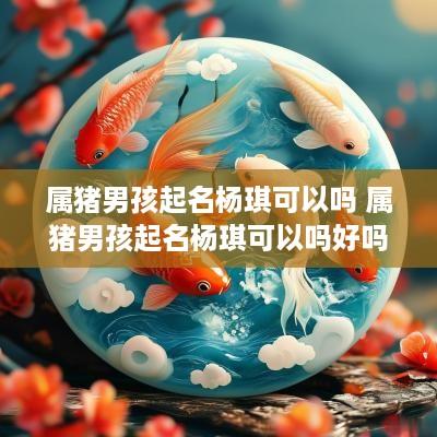 属猪男孩起名杨琪可以吗 属猪男孩起名杨琪可以吗好吗