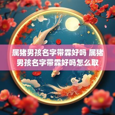 属猪男孩名字带霖好吗 属猪男孩名字带霖好吗怎么取