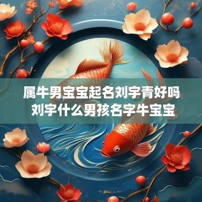 属牛男宝宝起名刘宇青好吗 刘宇什么男孩名字牛宝宝