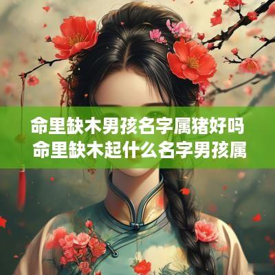 命里缺木男孩名字属猪好吗 命里缺木起什么名字男孩属猪