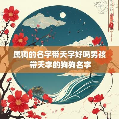属狗的名字带天字好吗男孩 带天字的狗狗名字