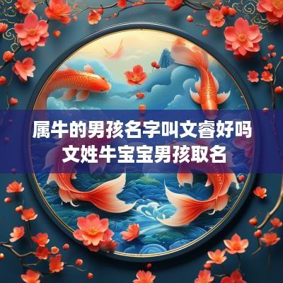 属牛的男孩名字叫文睿好吗 文姓牛宝宝男孩取名