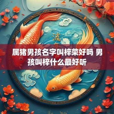 属猪男孩名字叫梓荣好吗 男孩叫梓什么最好听