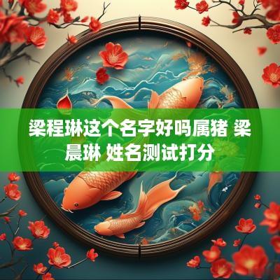 梁程琳这个名字好吗属猪 梁晨琳 姓名测试打分