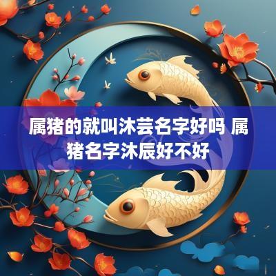 属猪的就叫沐芸名字好吗 属猪名字沐辰好不好