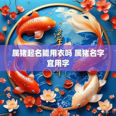 属猪起名能用衣吗 属猪名字宜用字
