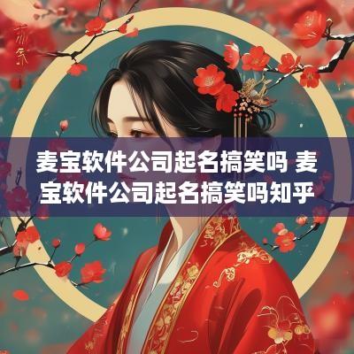 麦宝软件公司起名搞笑吗 麦宝软件公司起名搞笑吗知乎