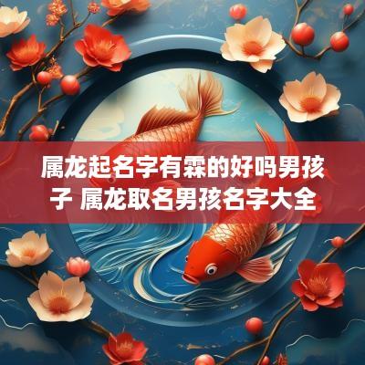 属龙起名字有霖的好吗男孩子 属龙取名男孩名字大全