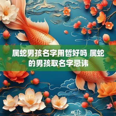 属蛇男孩名字用哲好吗 属蛇的男孩取名字忌讳