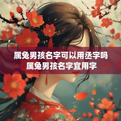 属兔男孩名字可以用丞字吗 属兔男孩名字宜用字