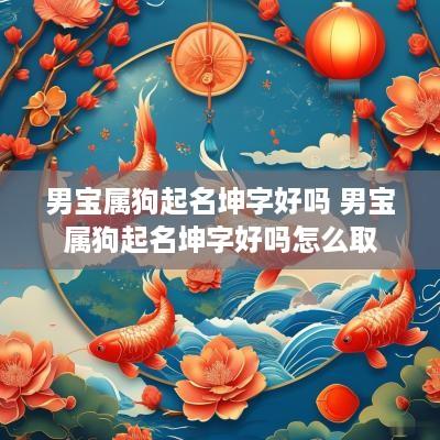 男宝属狗起名坤字好吗 男宝属狗起名坤字好吗怎么取