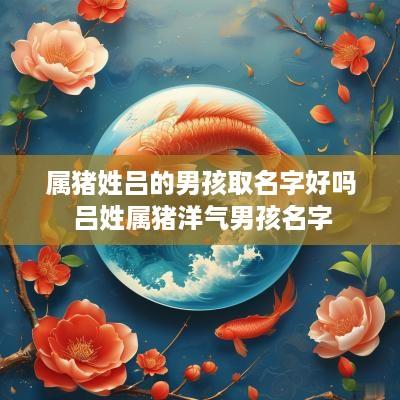 属猪姓吕的男孩取名字好吗 吕姓属猪洋气男孩名字