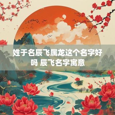 姓于名辰飞属龙这个名字好吗 辰飞名字寓意