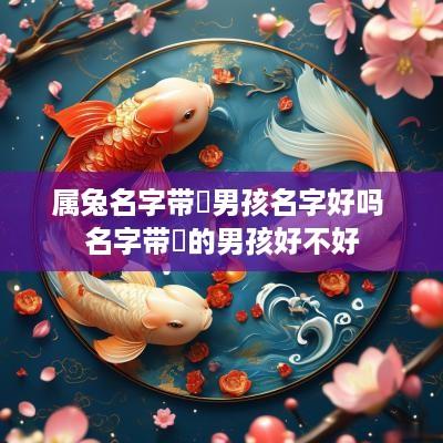属兔名字带喆男孩名字好吗 名字带喆的男孩好不好