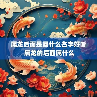 属龙后面是属什么名字好听 属龙的后面属什么