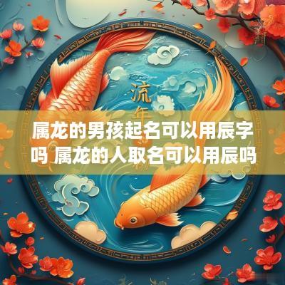 属龙的男孩起名可以用辰字吗 属龙的人取名可以用辰吗