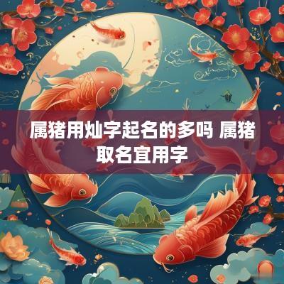 属猪用灿字起名的多吗 属猪取名宜用字