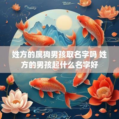 姓方的属狗男孩取名字吗 姓方的男孩起什么名字好