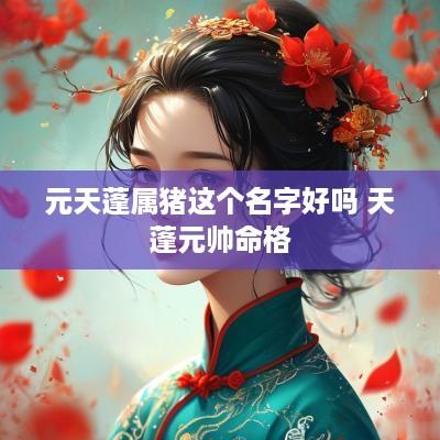 元天蓬属猪这个名字好吗 天蓬元帅命格
