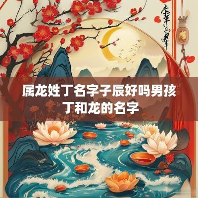 属龙姓丁名字子辰好吗男孩 丁和龙的名字
