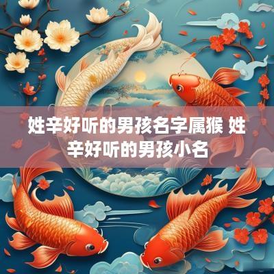 姓辛好听的男孩名字属猴 姓辛好听的男孩小名