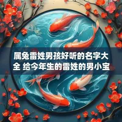 属兔雷姓男孩好听的名字大全 给今年生的雷姓的男小宝宝取什么名字好听