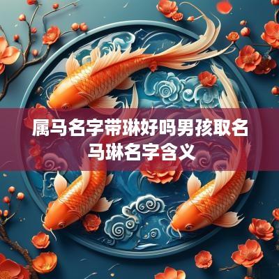 属马名字带琳好吗男孩取名 马琳名字含义