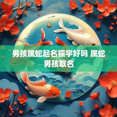 男孩属蛇起名振宇好吗 属蛇男孩取名