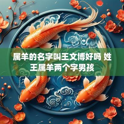 属羊的名字叫王文博好吗 姓王属羊两个字男孩